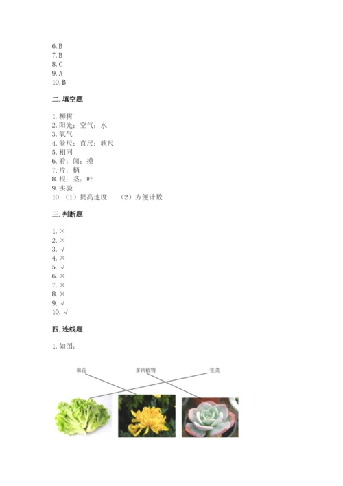 教科版一年级上册科学期末测试卷（精品）word版.docx