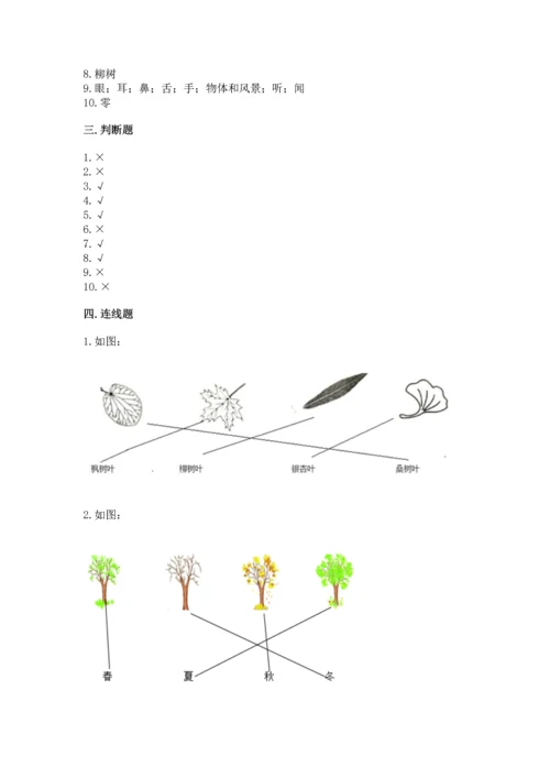 教科版一年级上册科学期末测试卷及答案一套.docx