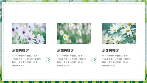 野菊花清新小雏菊通用PPT模版