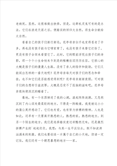 温暖的话题作文集锦7篇