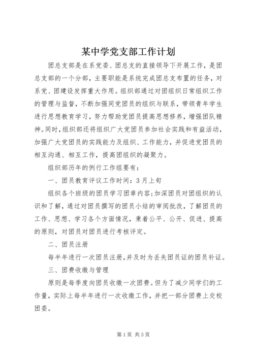 某中学党支部工作计划 (2).docx