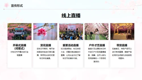 小镇桃花节策划方案通用PPT