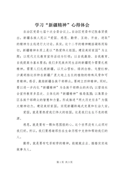 学习“新疆精神”心得体会.docx