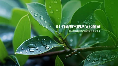 谷雨季节，引领绿色生活