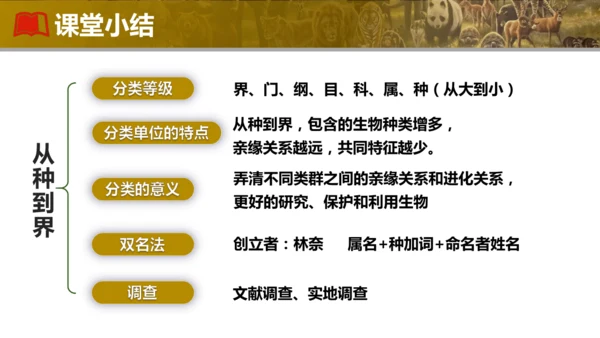 人教版生物七年级上册2.4.2《从种到界》（教学课件）(共16张PPT)
