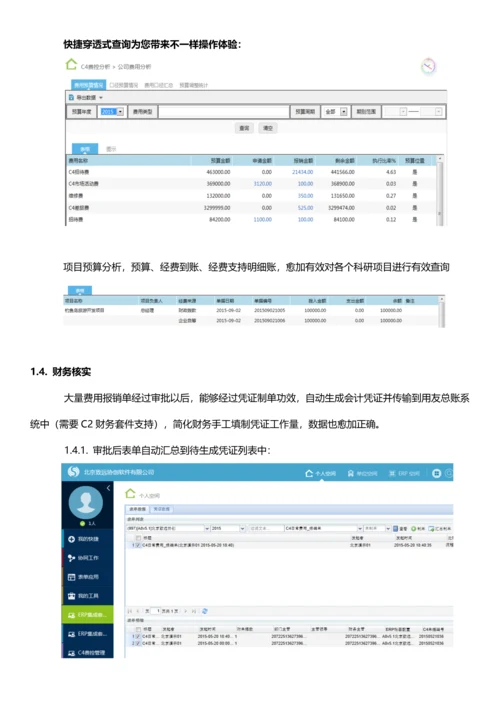 企业费控管理专业方案.docx