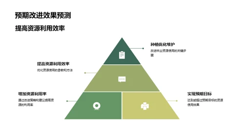 林业资源优化策略