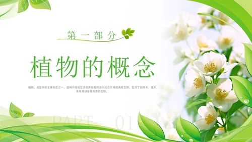 植物介绍简约绿色树叶花卉线条知识科普