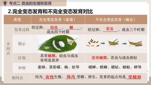 复习专题五生物的生殖和发育（串讲课件）-八年级生物上学期期末考点大串讲（人教版）(共20张PPT)