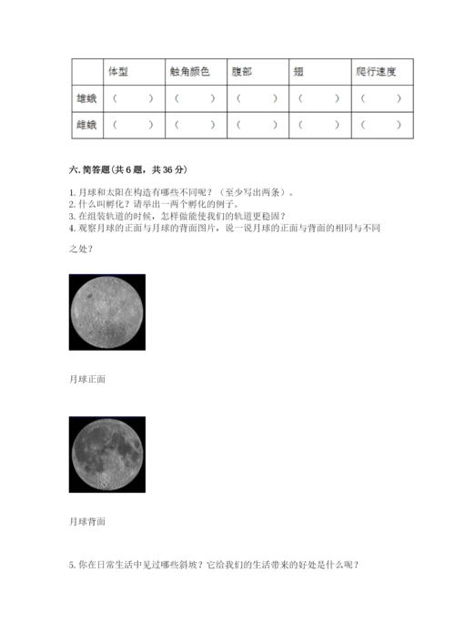 教科版科学三年级下册期末测试卷带答案（满分必刷）.docx