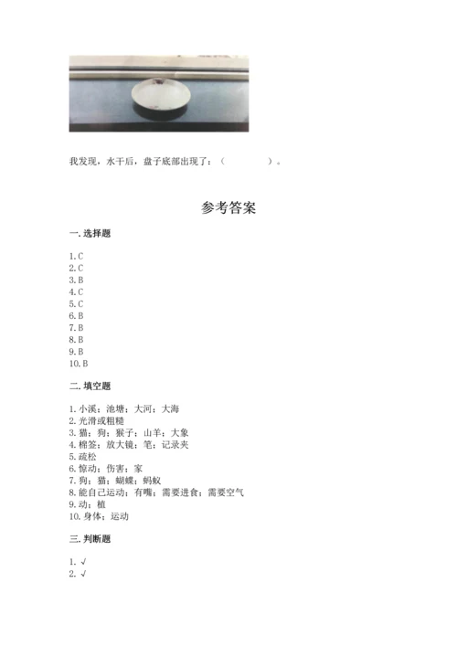 教科版一年级下册科学期末测试卷带精品答案.docx