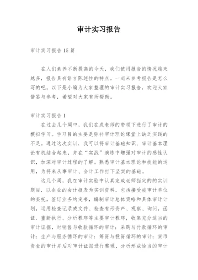 审计实习报告_5.docx