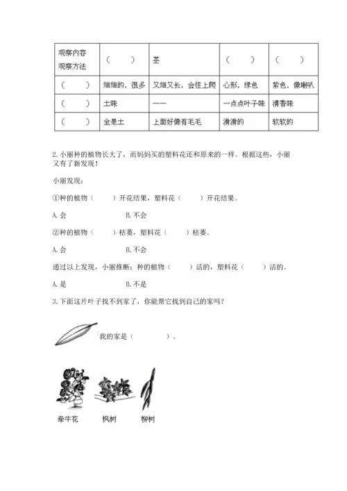 教科版科学一年级上册第一单元《植物》测试卷精品（考试直接用）.docx