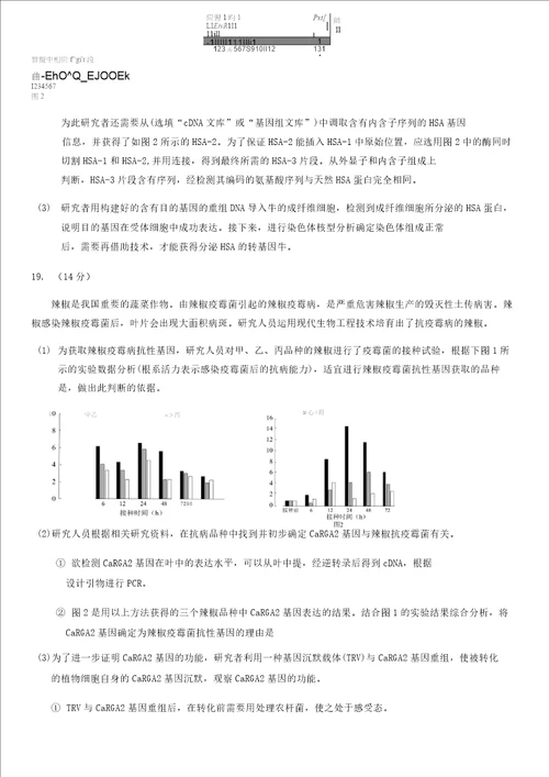 2019北京西城高二下期末生物