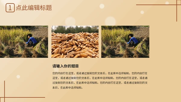 勤俭节约粮食传统美德金色麦穗通用PPT模反