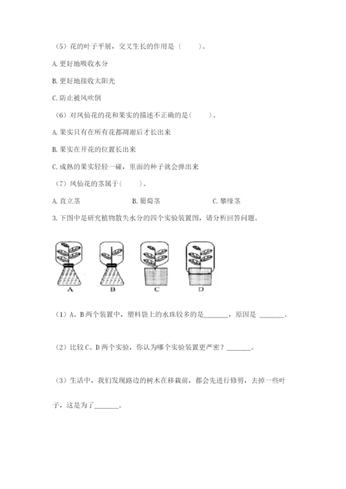 科学四年级下册第一单元植物的生长变化测试卷含答案（培优b卷）.docx