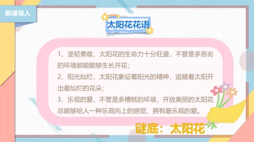 【北师大版】二年级《劳动实践指导手册》第11课《一起来种太阳花》课件