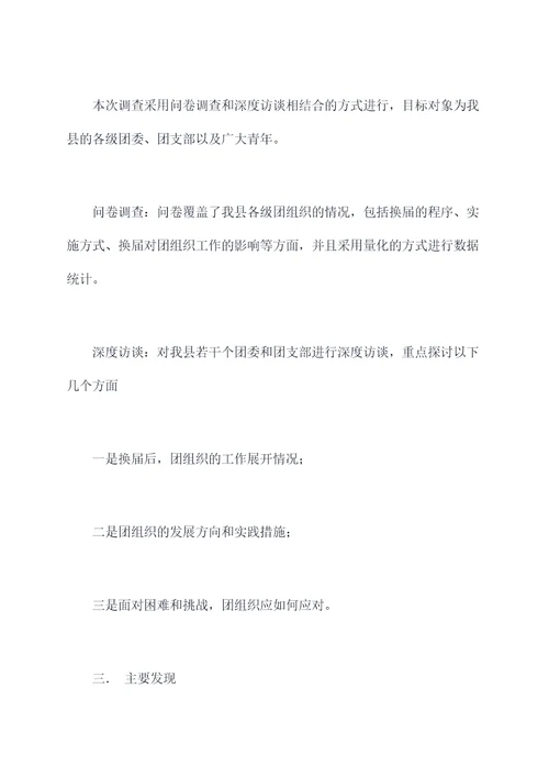 县团组织换届调研报告