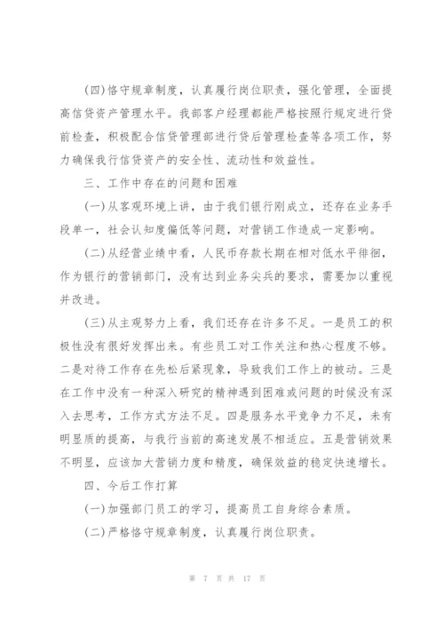 营销员的述职报告.docx