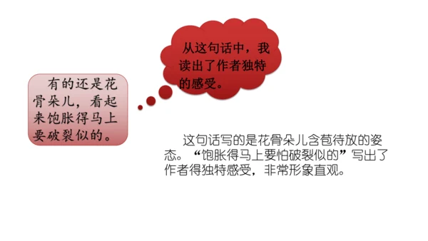 部编版三年级语文下册语文园地一  课件