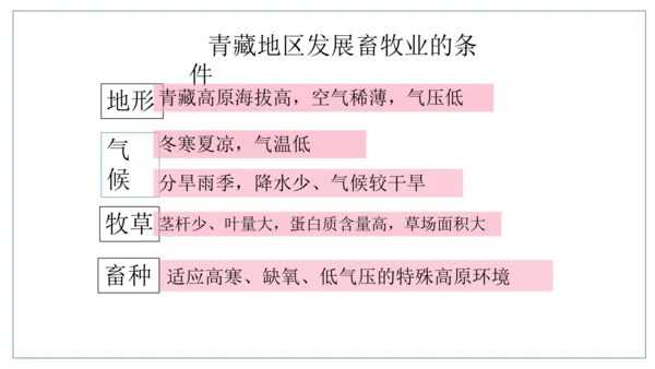 人文地理下册 5.4 青藏地区课件