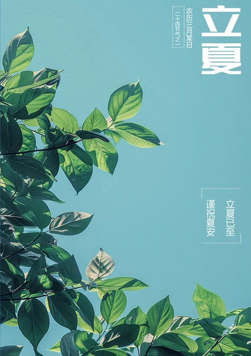 立夏已至立夏节气海报