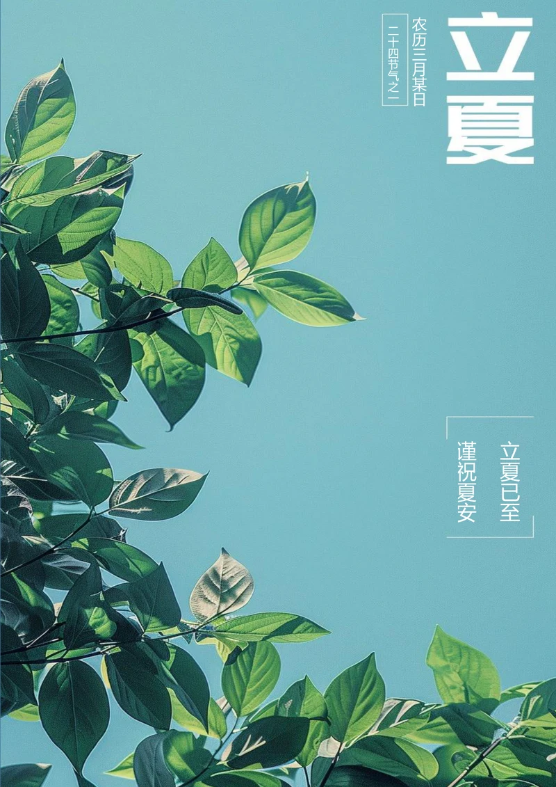 立夏已至立夏节气海报