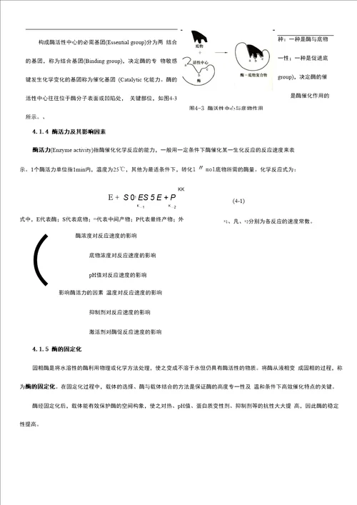 微生物对污染物的降解转化本章重点：1掌握酶的概念及酶的