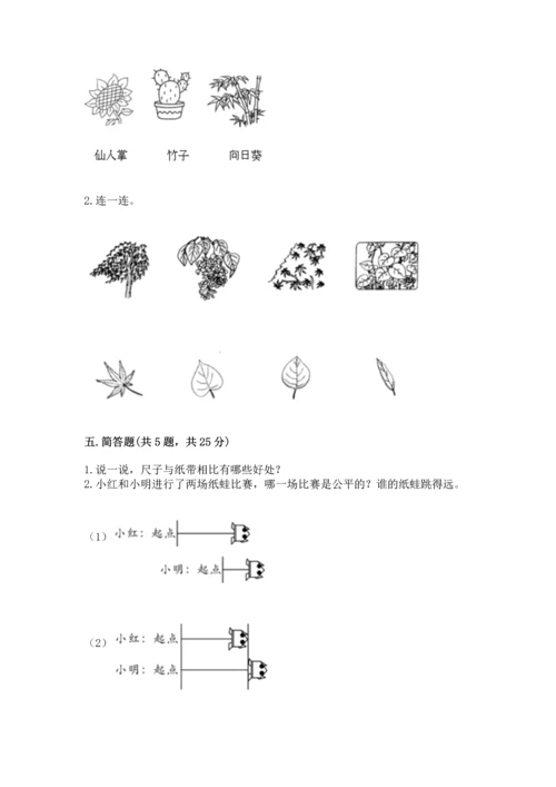 教科版一年级上册科学期末测试卷（模拟题）.docx