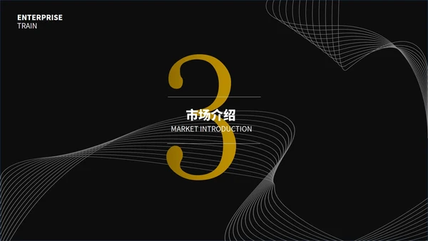 黑色简约线条创业计划书通用PPT模板