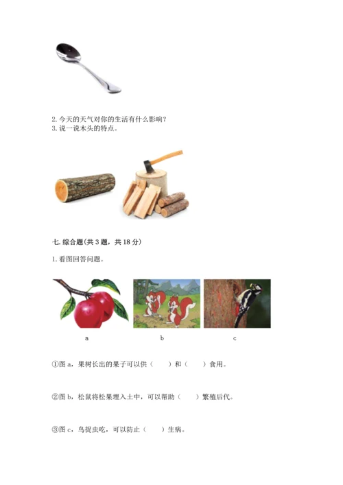 教科版二年级上册科学期末测试卷（名师系列）.docx
