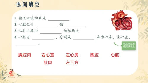 初中生物学>人教版（新课程标准）七年级下册4.4.3 输送血液的泵──心脏课件(共23张PPT)