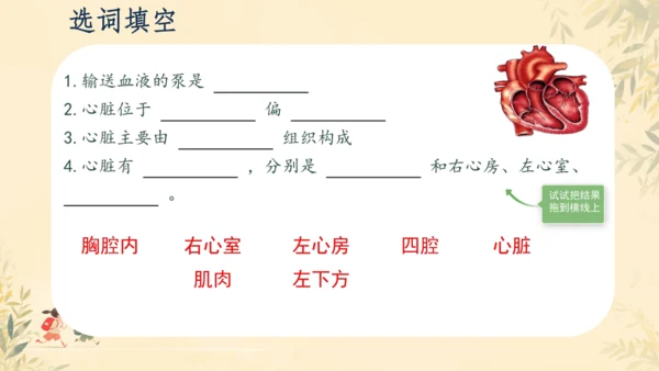 初中生物学>人教版（新课程标准）七年级下册4.4.3 输送血液的泵──心脏课件(共23张PPT)