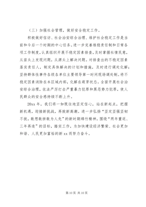 乡镇年度工作总结及工作安排.docx