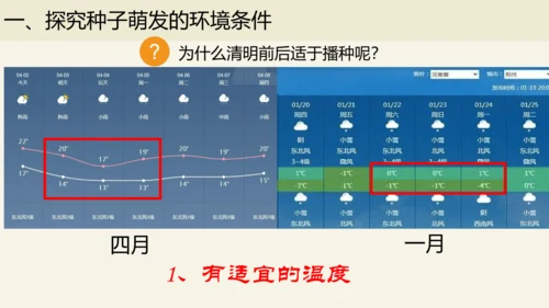 3.2.1 种子的萌发-2023-2024学年七年级生物上册优质课件（人教版）(共28张PPT)