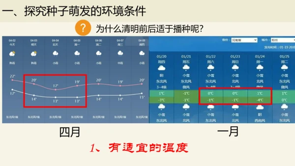 3.2.1 种子的萌发-2023-2024学年七年级生物上册优质课件（人教版）(共28张PPT)