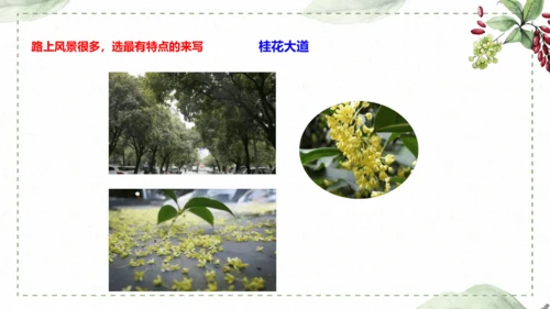 5 《铺满巴掌的水泥道》仿写指导课件