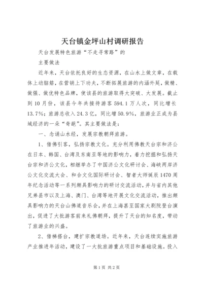 天台镇金坪山村调研报告 (2).docx