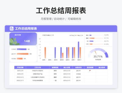 工作总结周报表