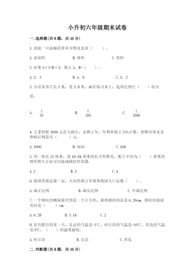 小升初六年级期末试卷（满分必刷）.docx