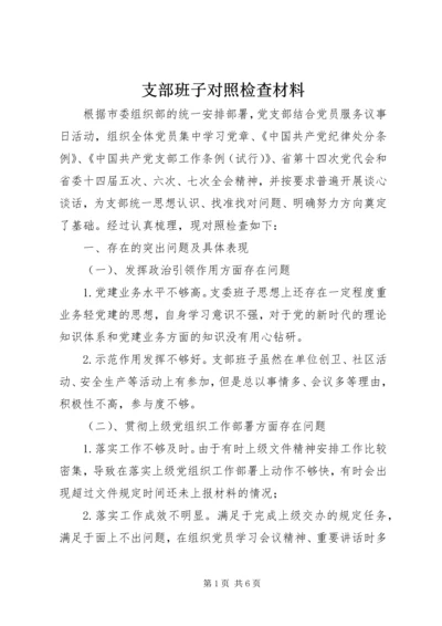 支部班子对照检查材料.docx