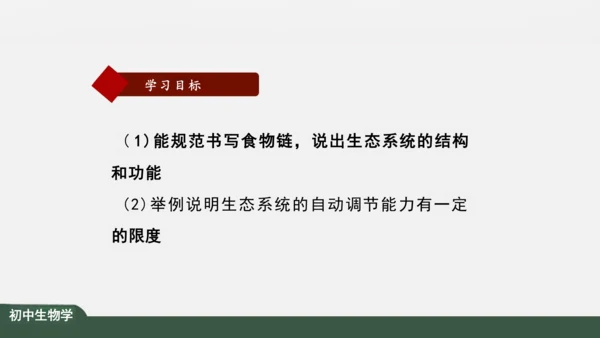 1.2.2 生物与环境组成生态系统 课件（共25张PPT）