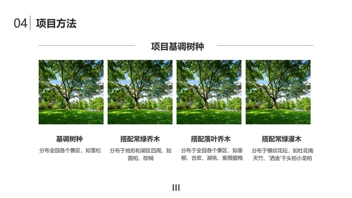简约风大学生小组作业成果展示