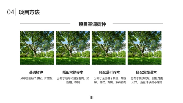 简约风大学生小组作业成果展示