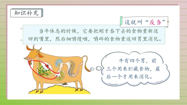 【课堂无忧】10.在牛肚子里旅行 任务型教学（第1课时）（课件）