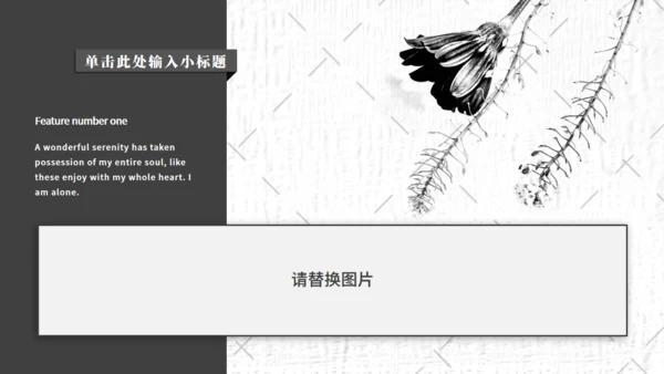 无色风花瓶活动策划通用PPT模板