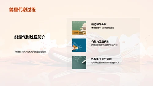 运动生理学全解析
