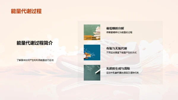 运动生理学全解析