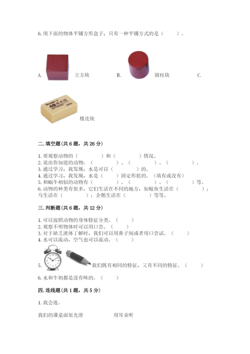教科版一年级下册科学期末测试卷及参考答案（预热题）.docx