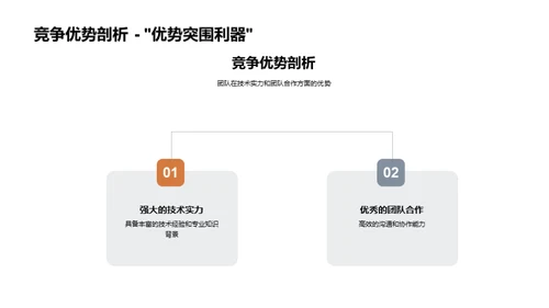 团队实力与未来挑战